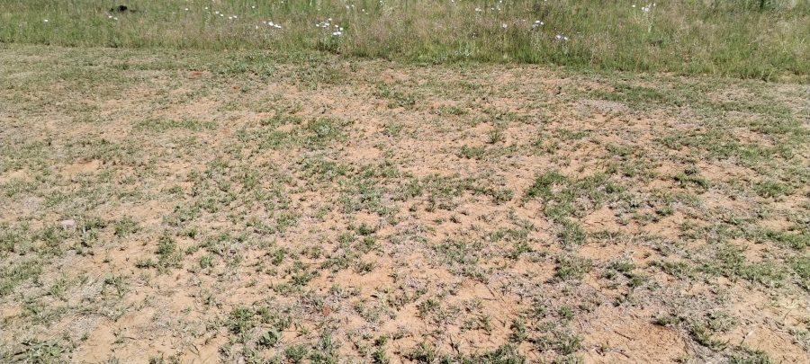 Commercial Property for Sale in Naudeville Free State